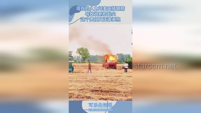 麦田钢筋之谜：跨界思维探寻恶意破坏背后的法律与创新